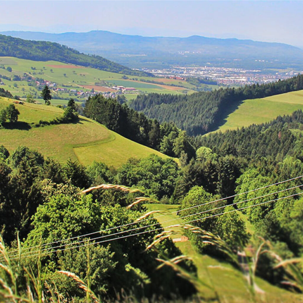 Panoramafoto des Schwarzwaldes